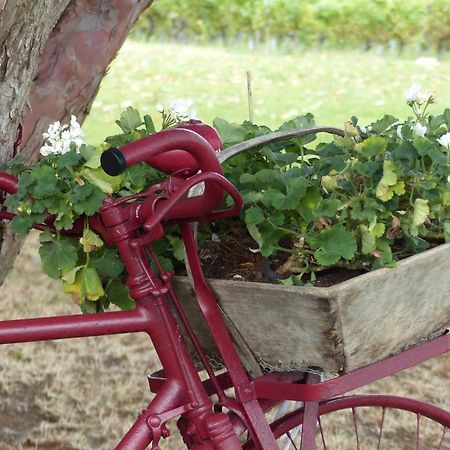 Bed and Breakfast L'Alambic De L'Estuaire Saint-Fort-sur-Gironde Exterior foto